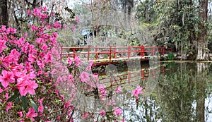 Red Bridge Spring Azaleas South Carolina SC photo