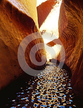 Red bright canyon with river or stream in arizona in the usa