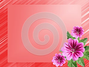 Red bright frame with flowers hollyhock