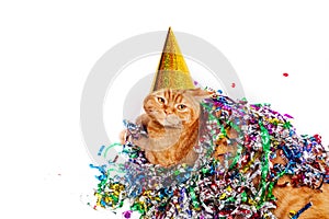 Red british cat in a birthday hat lying in confetti on white background