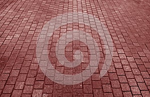 Red Brown Colored Concrete Block Paved Pathway for Texture Background