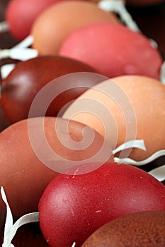Red and brown Easter egg shells