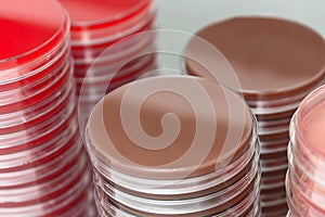 Red and brown petri dishes stacks in microbiology lab. Focus on stacks. photo
