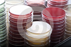 Red and brown petri dishes stacks in microbiology lab. Focus on stacks. photo