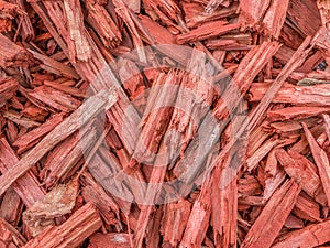 Red and brown pieces of tree wood texture background. Mulch ground