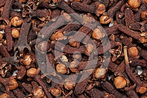 Red brown seed clove(loong india) Syzygium aromaticum
