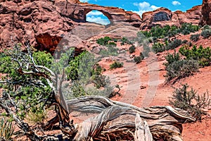 Red Brown Skyline Arch Rock Canyon Arches National Park Moab Utah