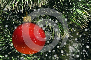 A red bubble hanging on a green Christmas tree