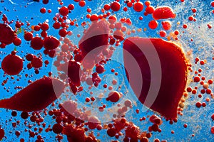 Red bubbles of blood cells on blue background. Abstraction of medicine. Concept of micro processes and diseases