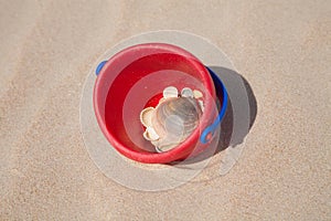 Red bucket on sand with sea shells