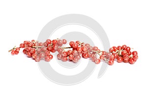 Red Buffaloberry or Soapberry on white background