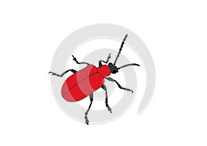 Red bug