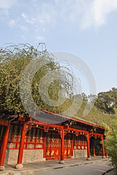 Red building with plant