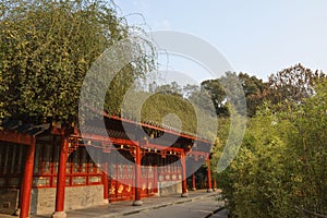 Red building with plant