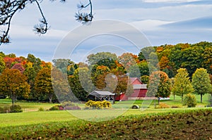 Red buildings on a Vermont Farm in Autumn photo