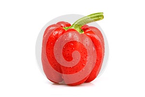 Red bulgarian pepper