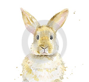 Red bunny. Animal portrait. Watercolour illustration on white background.