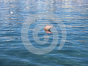 Red buoy laying on blue sea water surface