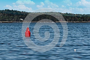 Red Buoy in Maine Bay