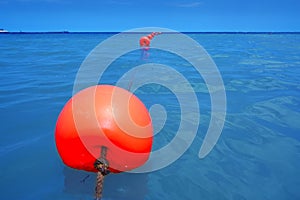 Red buoy row floating blue sea with rope closeup