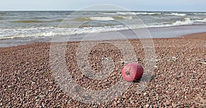 Red buoy on the stone beach in the daytime