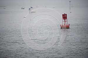 Red buoy on a water