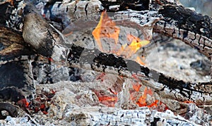 Red burning fire smolders smolders burnt tree closeup