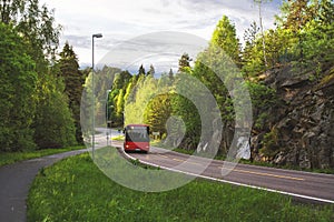 Red bus in the road of Norway and green forest