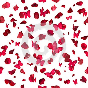 Red Butterflies and Rose Petals