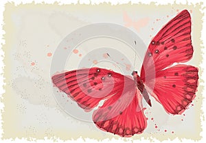 Red butterfly