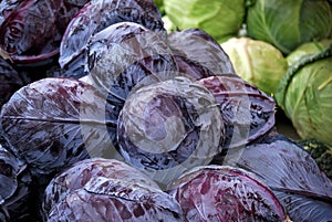 Red cabbage