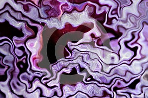 Red Cabbage Art