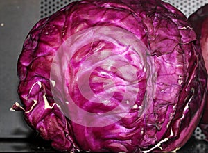 Red cabbage, Brassica oleracea var. capitata,