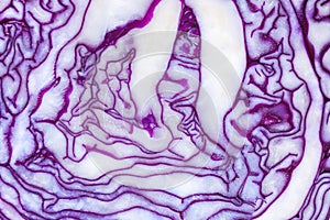 Red cabbage close-up. The texture of the cut cabbage, vegetable