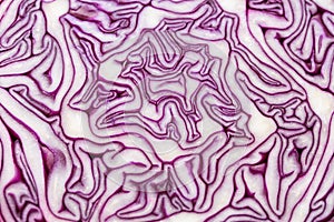 Red cabbage cut closeup texture