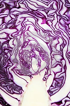 Red cabbage cut in half