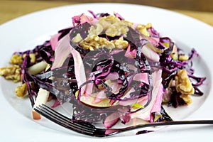 Red Cabbage with Fennel, Apple & Walnuts Slaw