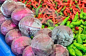 Red cabbage, green and red pepper