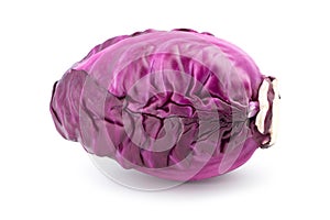 Red cabbage isolated on white background.