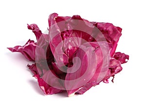 Red cabbage leaves