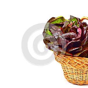 Red cabbage lettuce in basket.