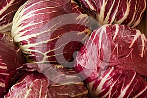 Red cabbage, Nuremberg, Germany