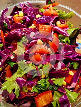 Red cabbage salad with tomato