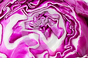The Red cabbage slice close-up