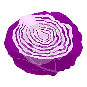Red cabbage slice isolated on white background, isometric view