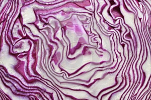 Red cabbage texture