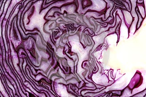 Red cabbage texture and pattern