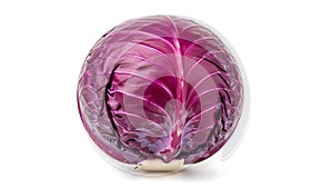 A red cabbage on a white background (ai generated)