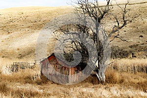 Red Cabin beside a Gnarly Leafless Tree in the Sagebrush