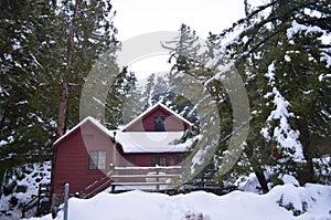 Red Cabin in Mount Baldy